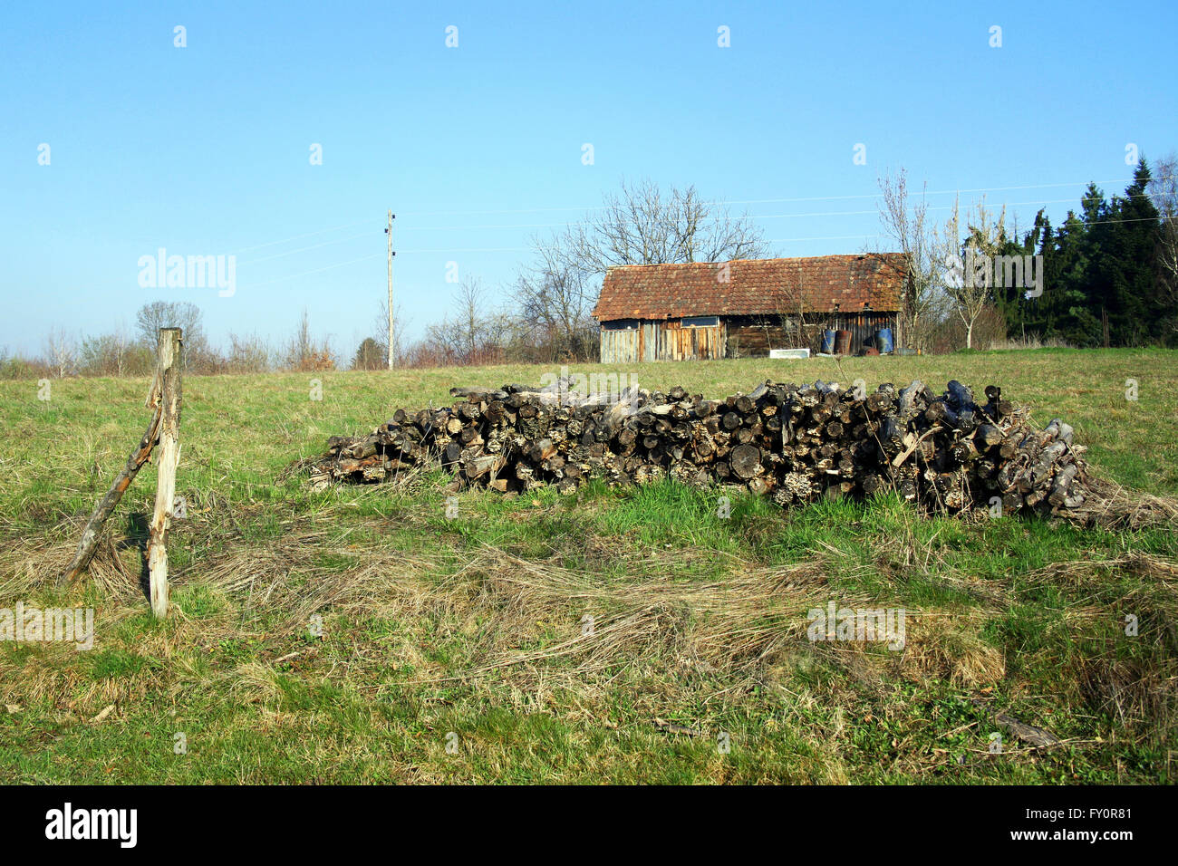 Early spring in the country,3,2016. Stock Photo