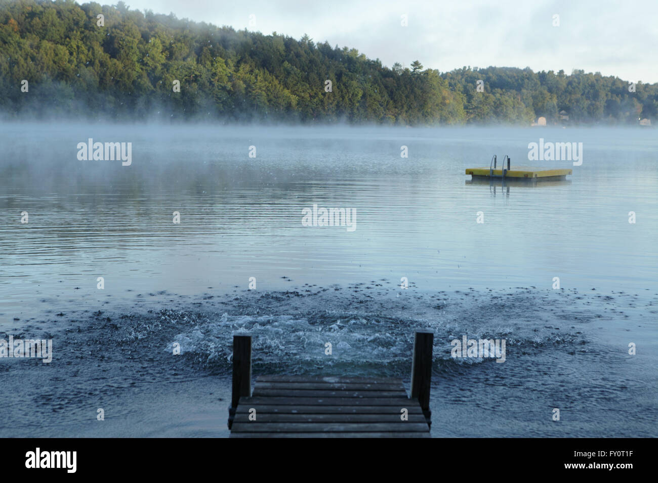 Jetty and yellow diving platform floating on a calm misty morning lake in Vermont. Large splash and ripples after someone dove Stock Photo