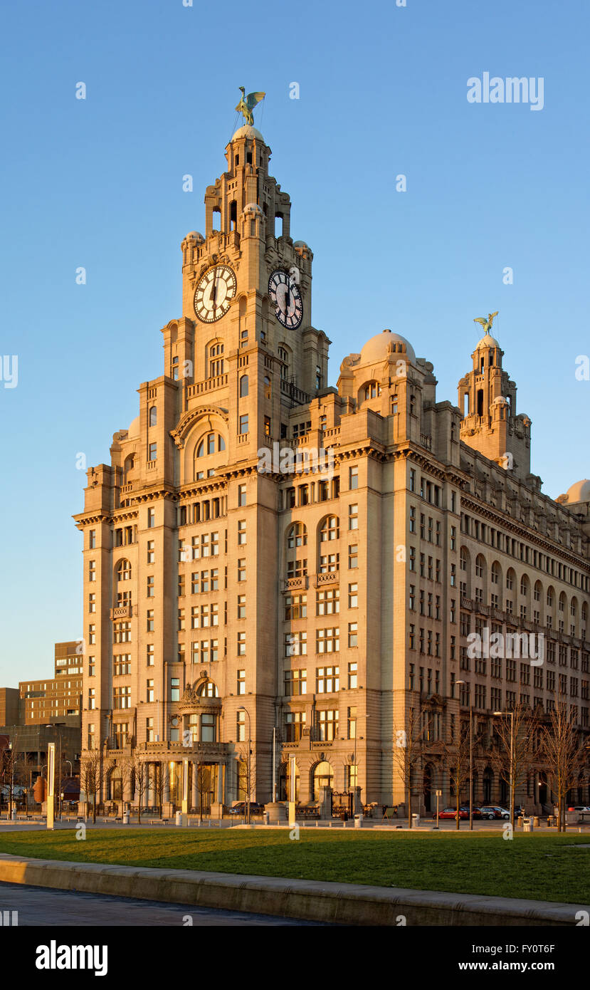 UK,Liverpool,Pier Head,Royal Liver Building Stock Photo