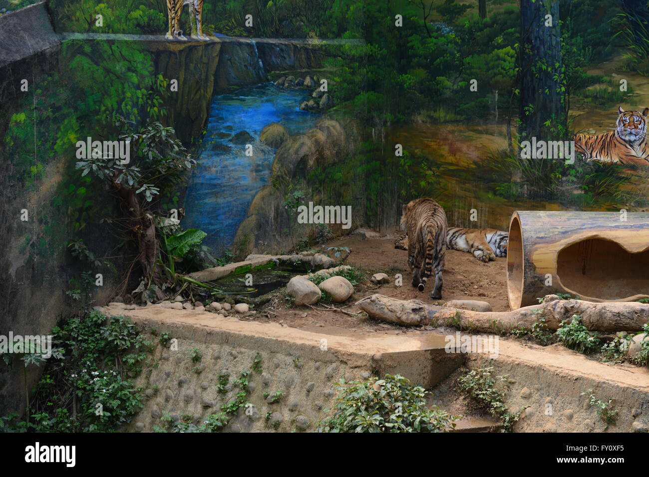 record our life Stock Photo - Alamy