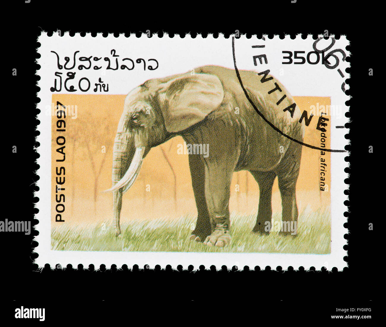 Postage stamp from Laos depicting an African bush elephant (Loxodonta ...