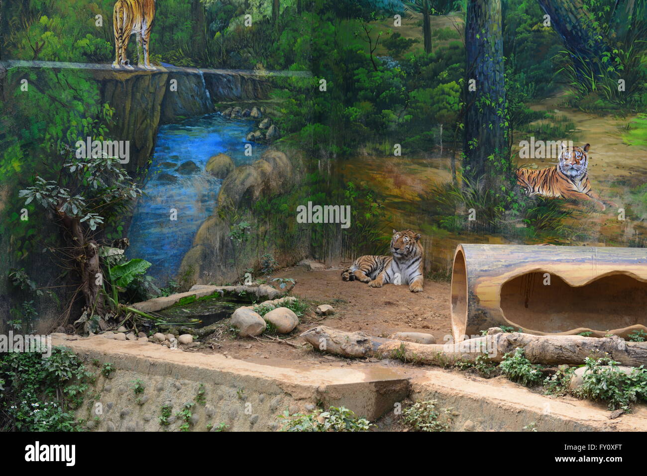 record our life Stock Photo - Alamy