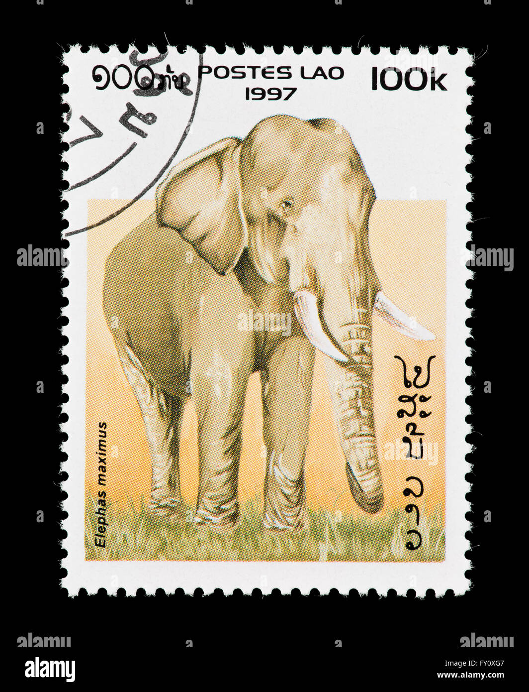 Postage stamp from Laos depicting an adult Asian a Elephant (Elephas ...