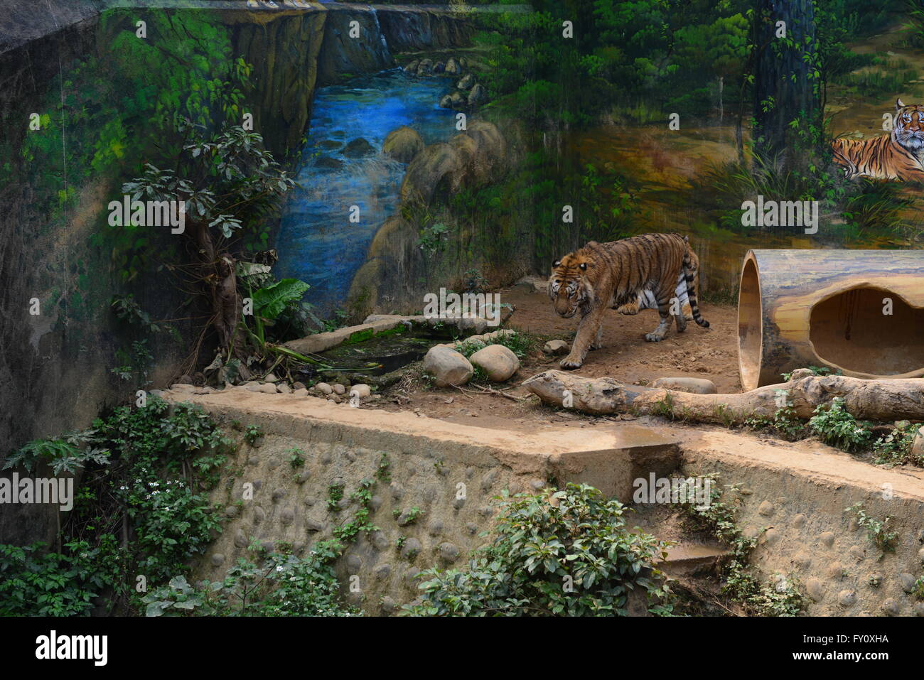 record our life Stock Photo - Alamy