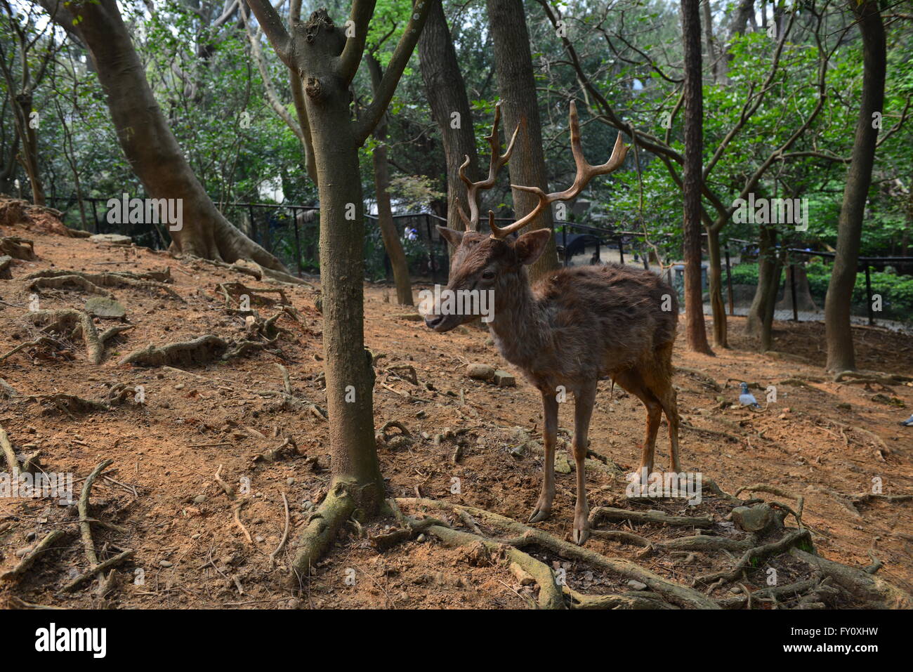 record our life Stock Photo - Alamy