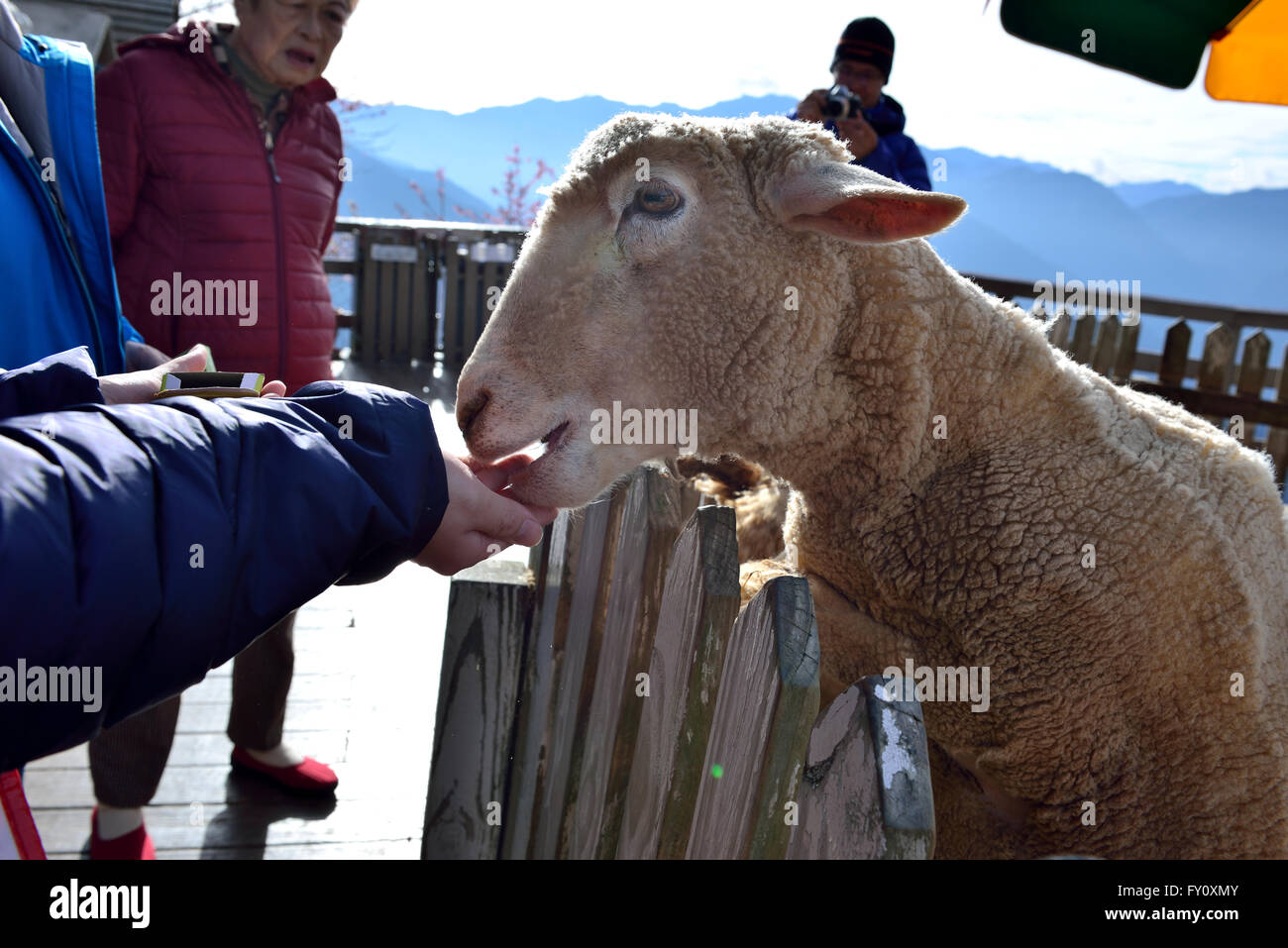 record our life Stock Photo - Alamy