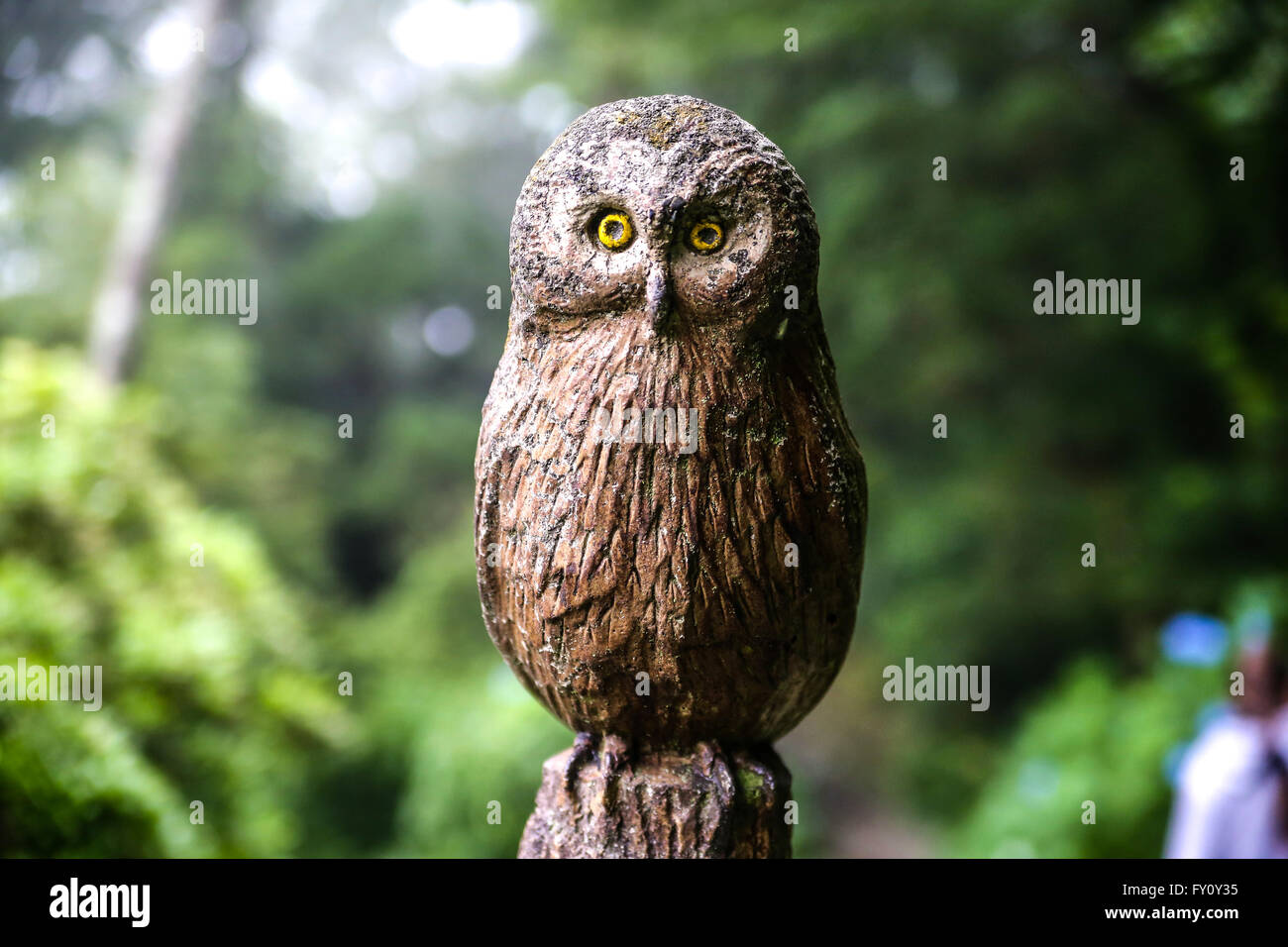 Owl statue in the public park, Hakone, Japan Stock Photo Alamy