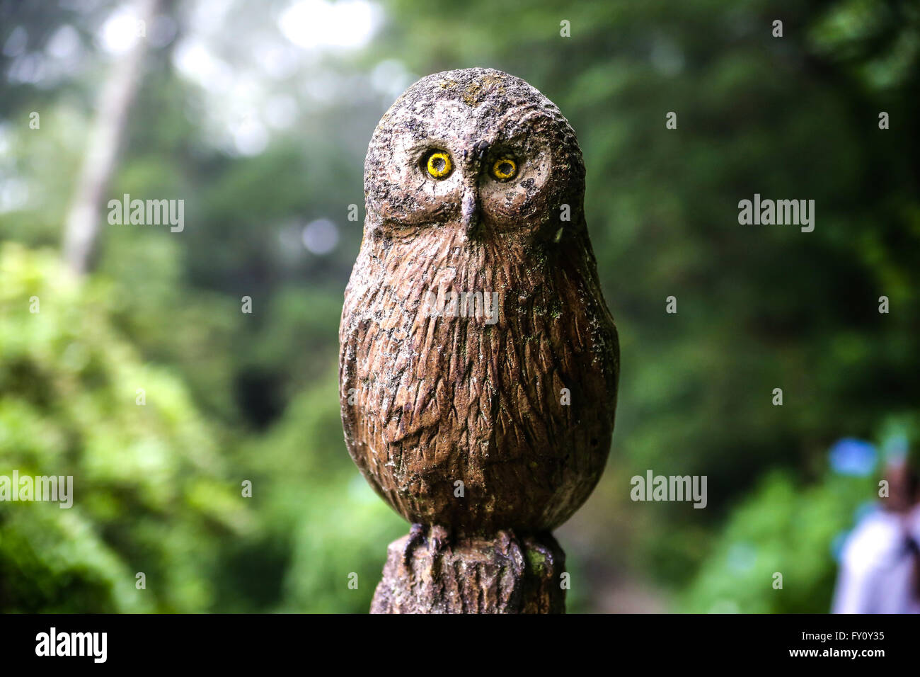 Owl statue in the public park, Hakone, Japan Stock Photo