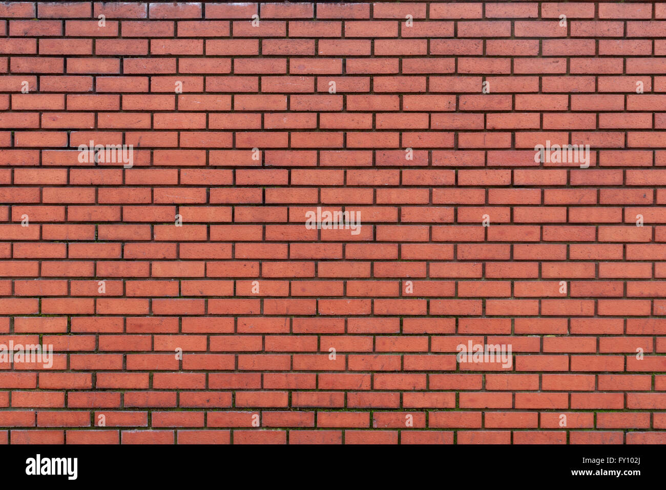 Background of lightly weathered dark red brick wall with dark grouting Stock Photo