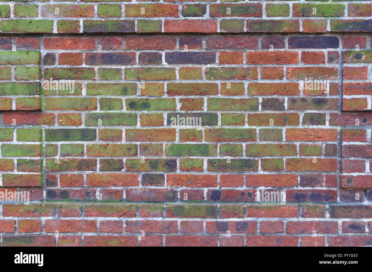 Texture of moss and black stains on old red brick wall Stock Photo Alamy