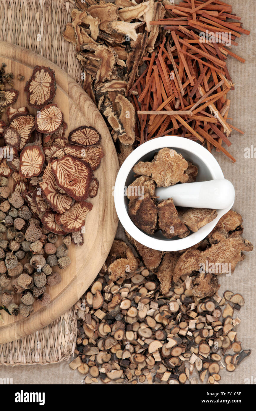 Chinese herbal medicine selection with mortar and pestle Stock Photo