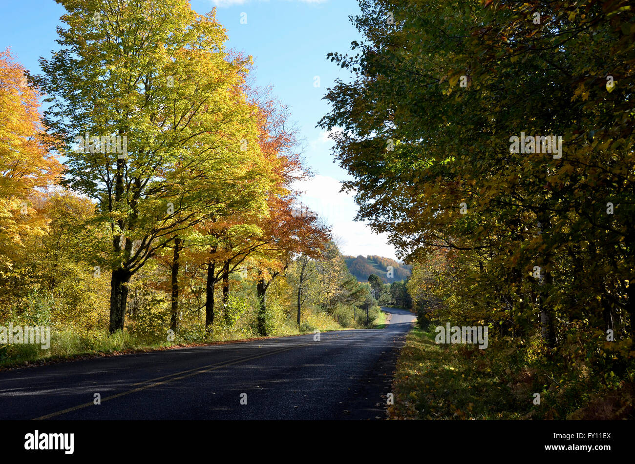 Tree lined road leading to Big Powderhorn Ski resort in Bessemer ...