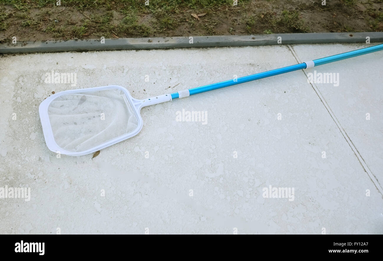 https://c8.alamy.com/comp/FY12A7/home-swimming-pool-scoop-net-for-fishing-out-debris-sandy-ridge-davenport-FY12A7.jpg