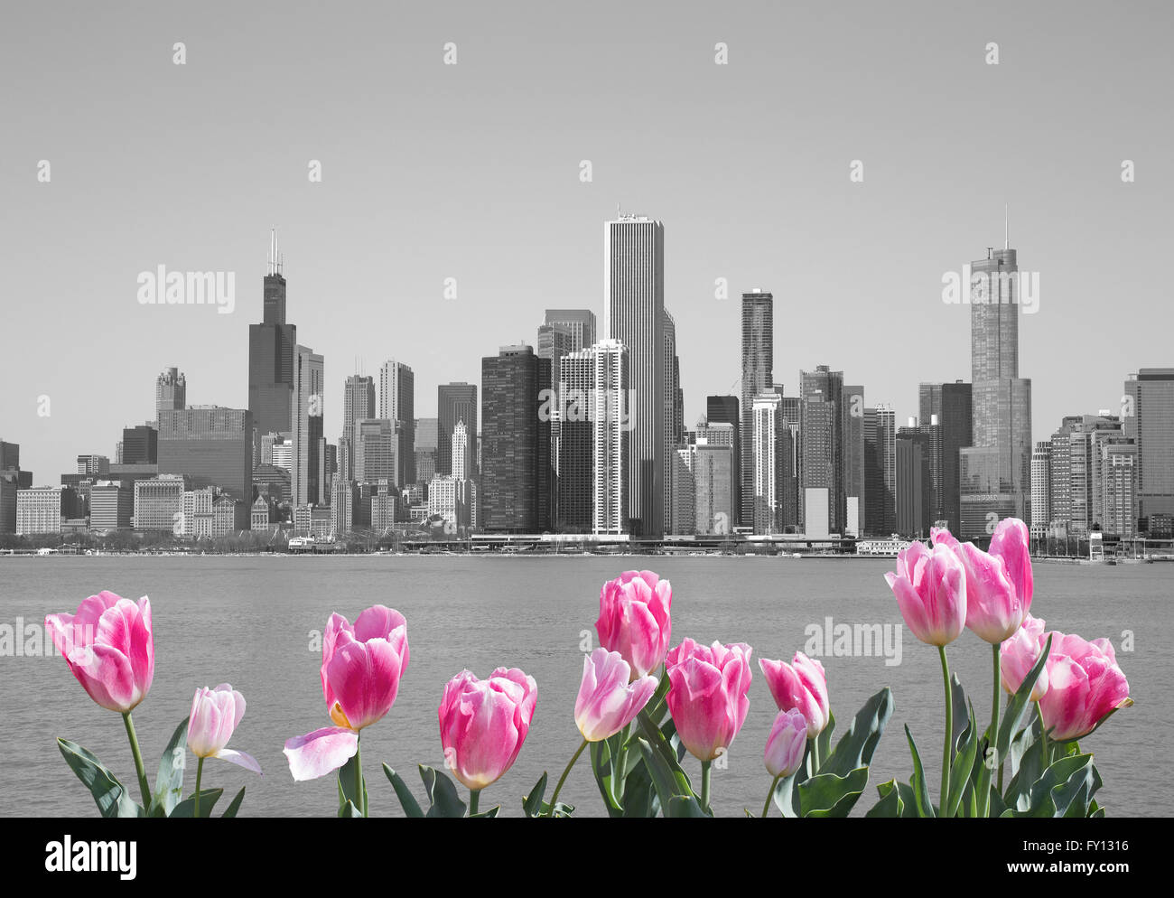 Black and white Chicago Stock Photo - Alamy