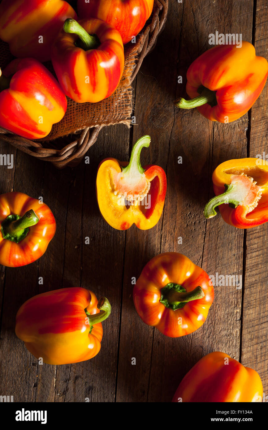 Raw Organic Striped Red Bell Pepper Ready to Cook With Stock Photo