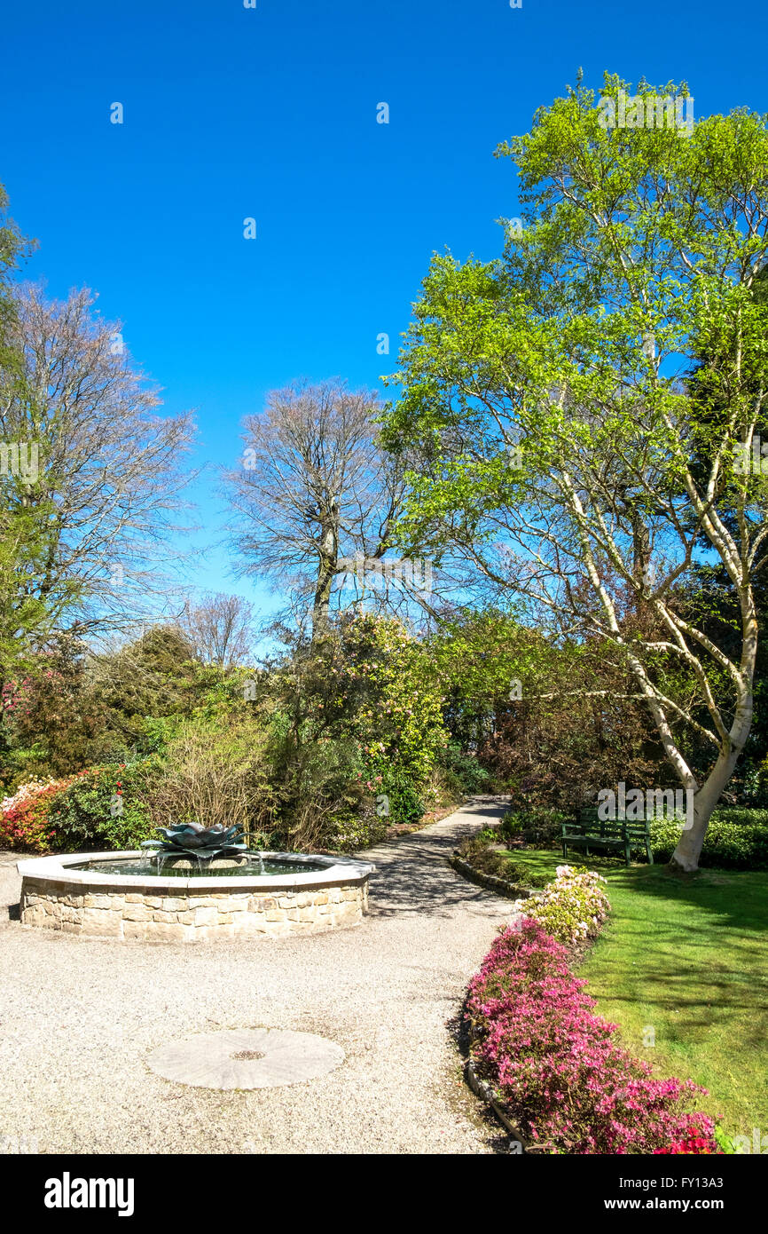 The gardens at Tregothnan estate near Truro in Cornwall, UK Stock Photo