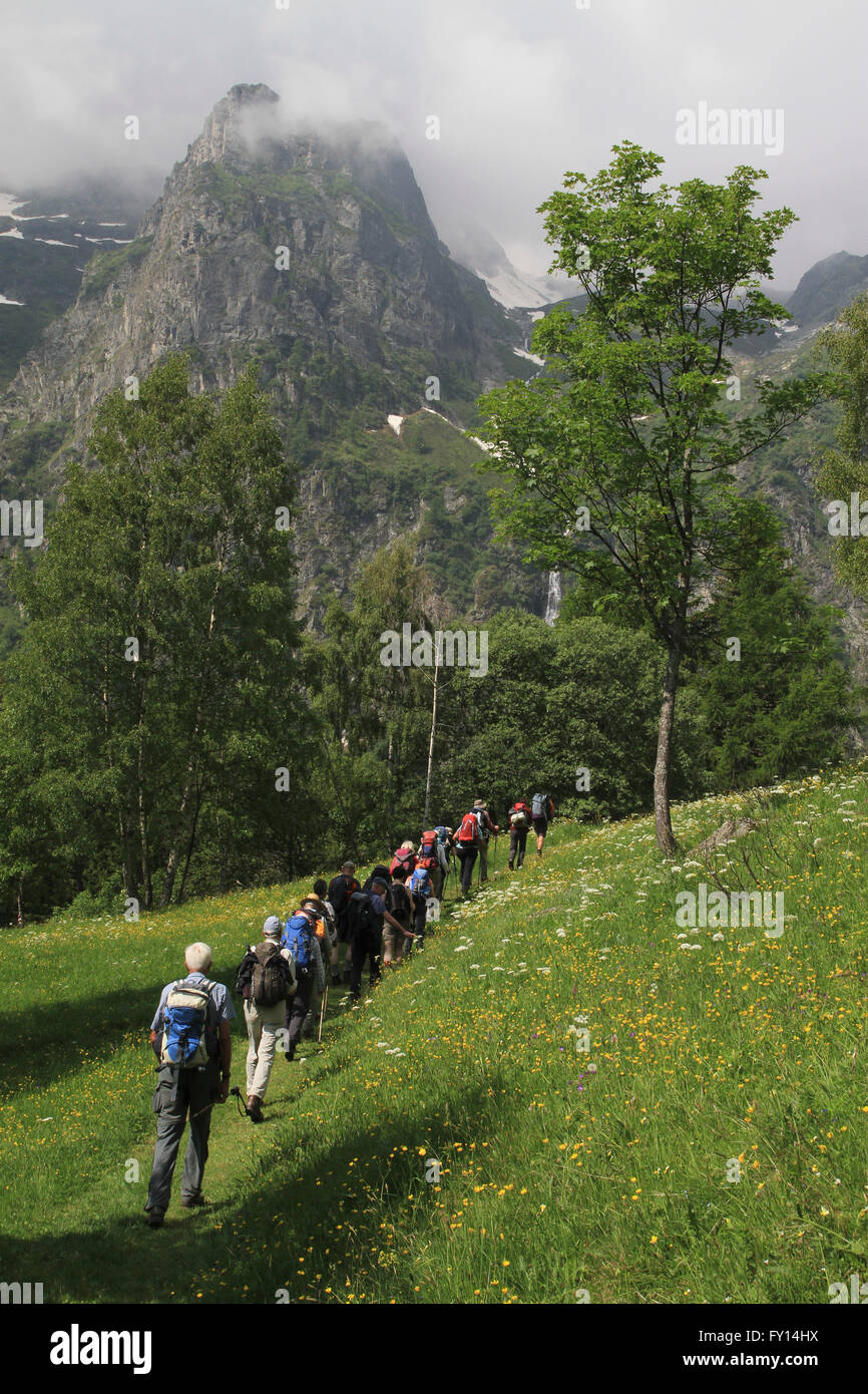 Rear view of people walking on grassy field against mountains Stock Photo