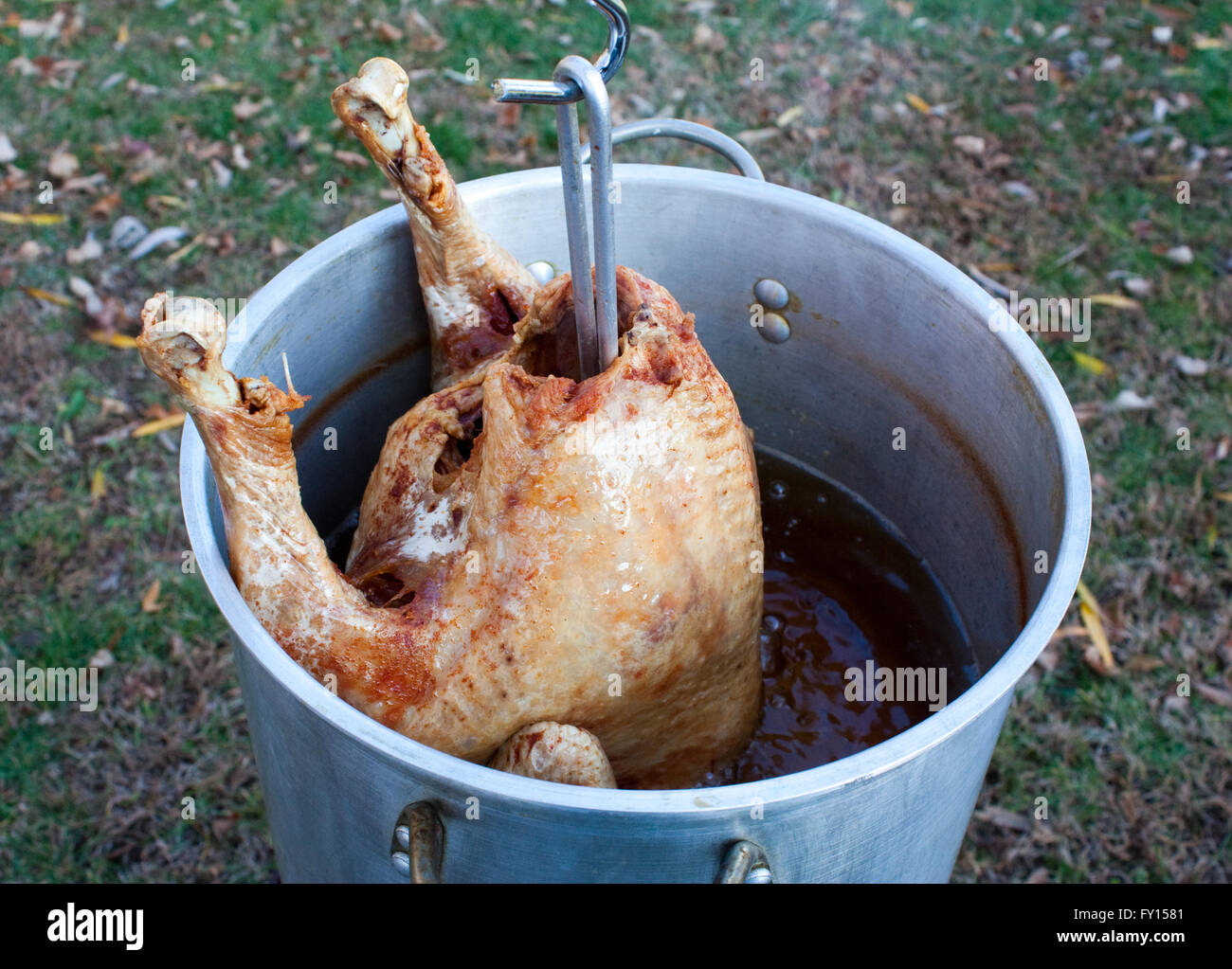 Pulling a deep fat fried turkey out of the peanut oil Stock Photo