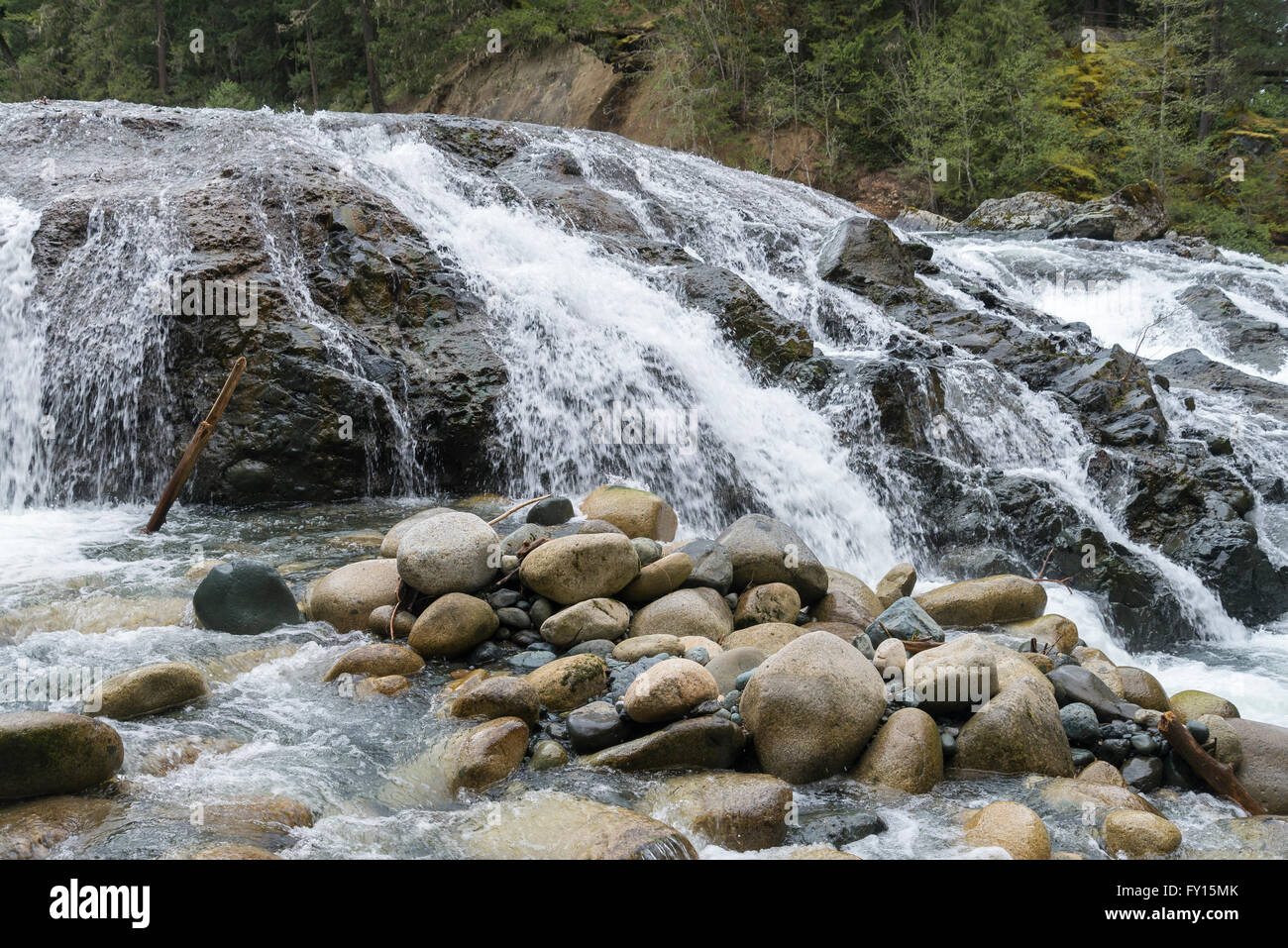 Englishman River Falls, British Columbia Canada Stock Photo