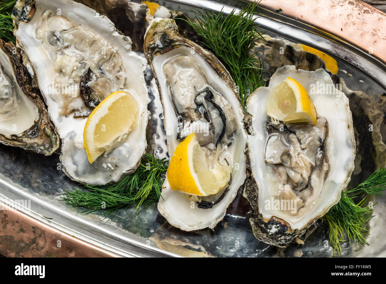 Opened oysters with piece of lemon on the cooper tray. Stock Photo