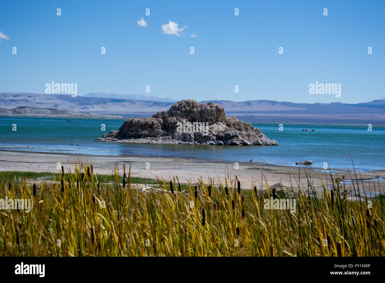 Mono Lake, a large shallow saline lake with limestone formations on a fall day at the base of Sierra Nevada mountains. Stock Photo