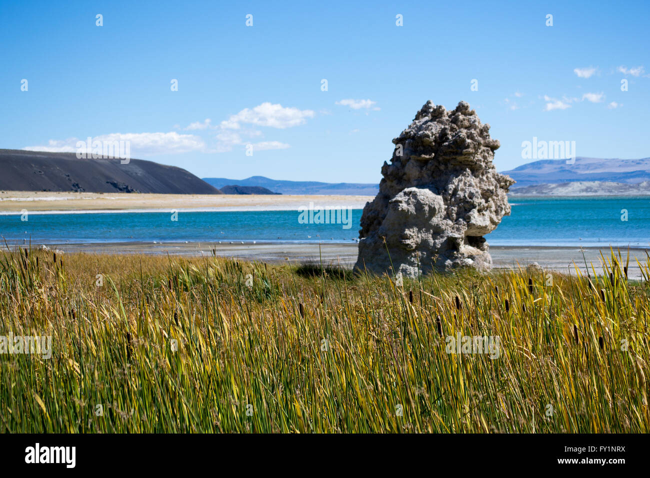 Mono Lake, a large shallow saline lake with limestone formations on a fall day at the base of Sierra Nevada mountains. Stock Photo