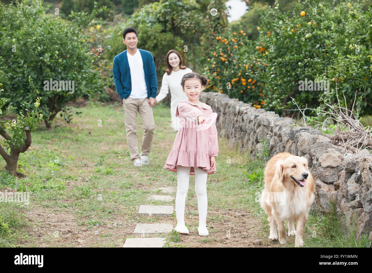 Family with a dog walking together outside near the tangerine field representing rural life Stock Photo