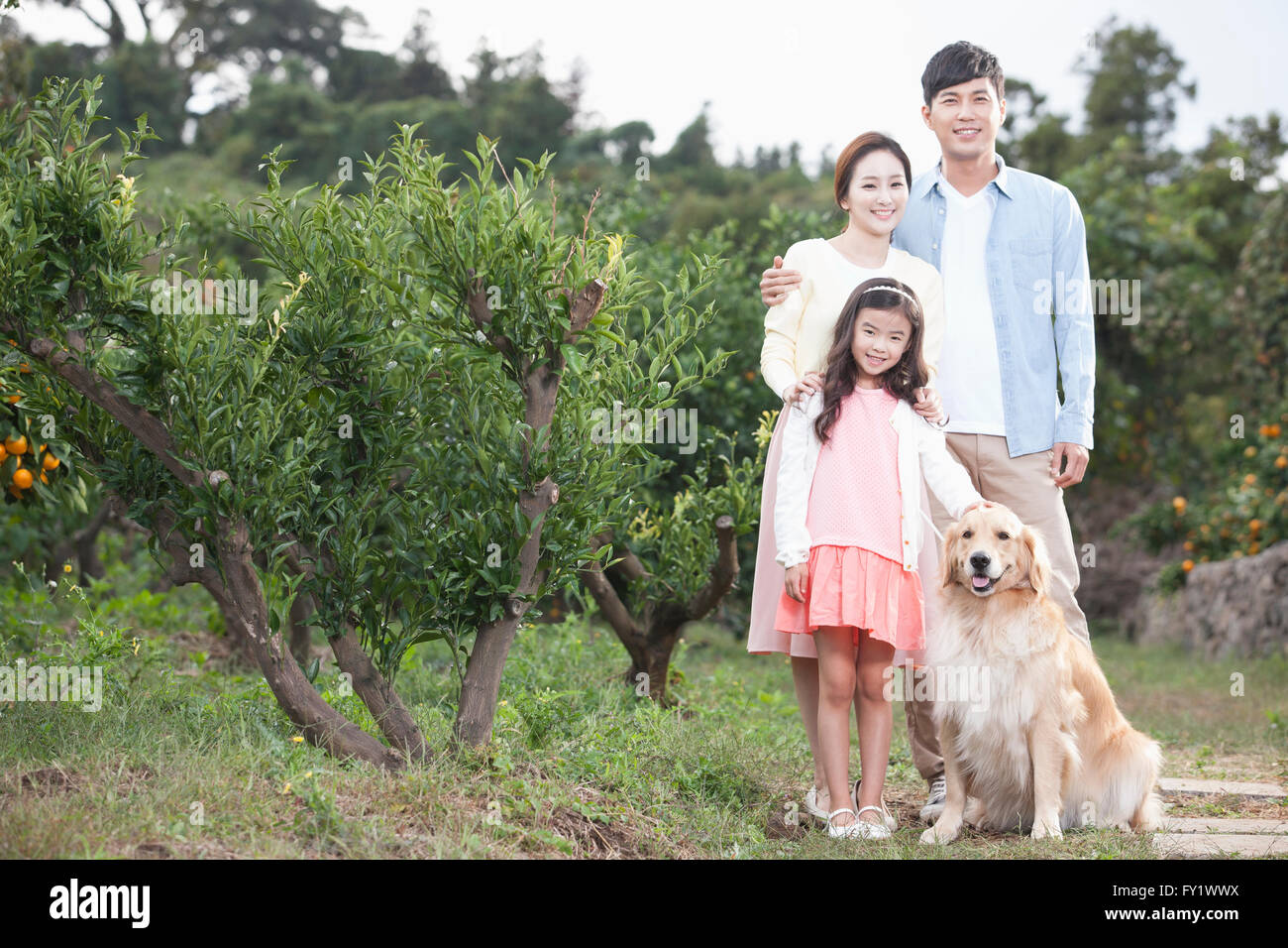 Family with a dog at the field representing rural life Stock Photo