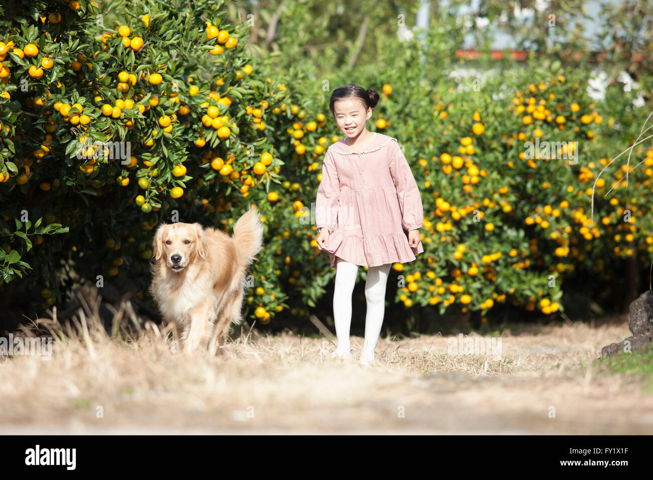 Girl walking with dog hi-res stock photography and images - Alamy