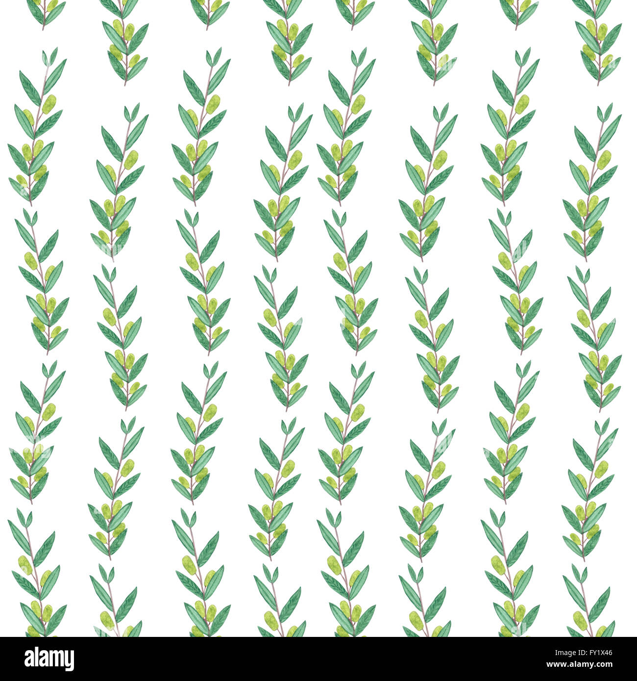 Seamless watercolor pattern with olive branches. Illustration on white background. Nature and Organic concept. Natural product. Stock Photo