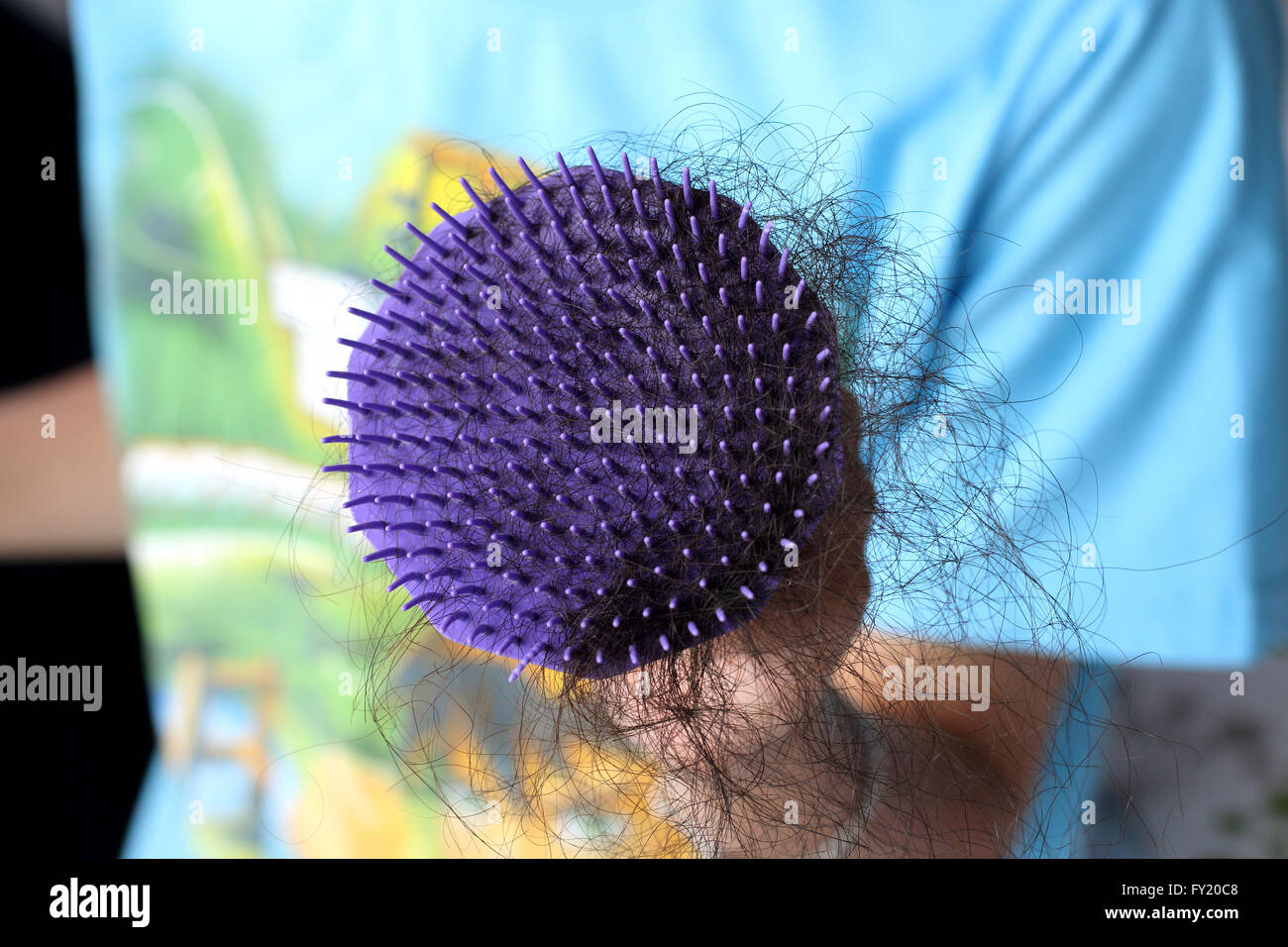 Hair problem, loss hair on the comb - close up Stock Photo