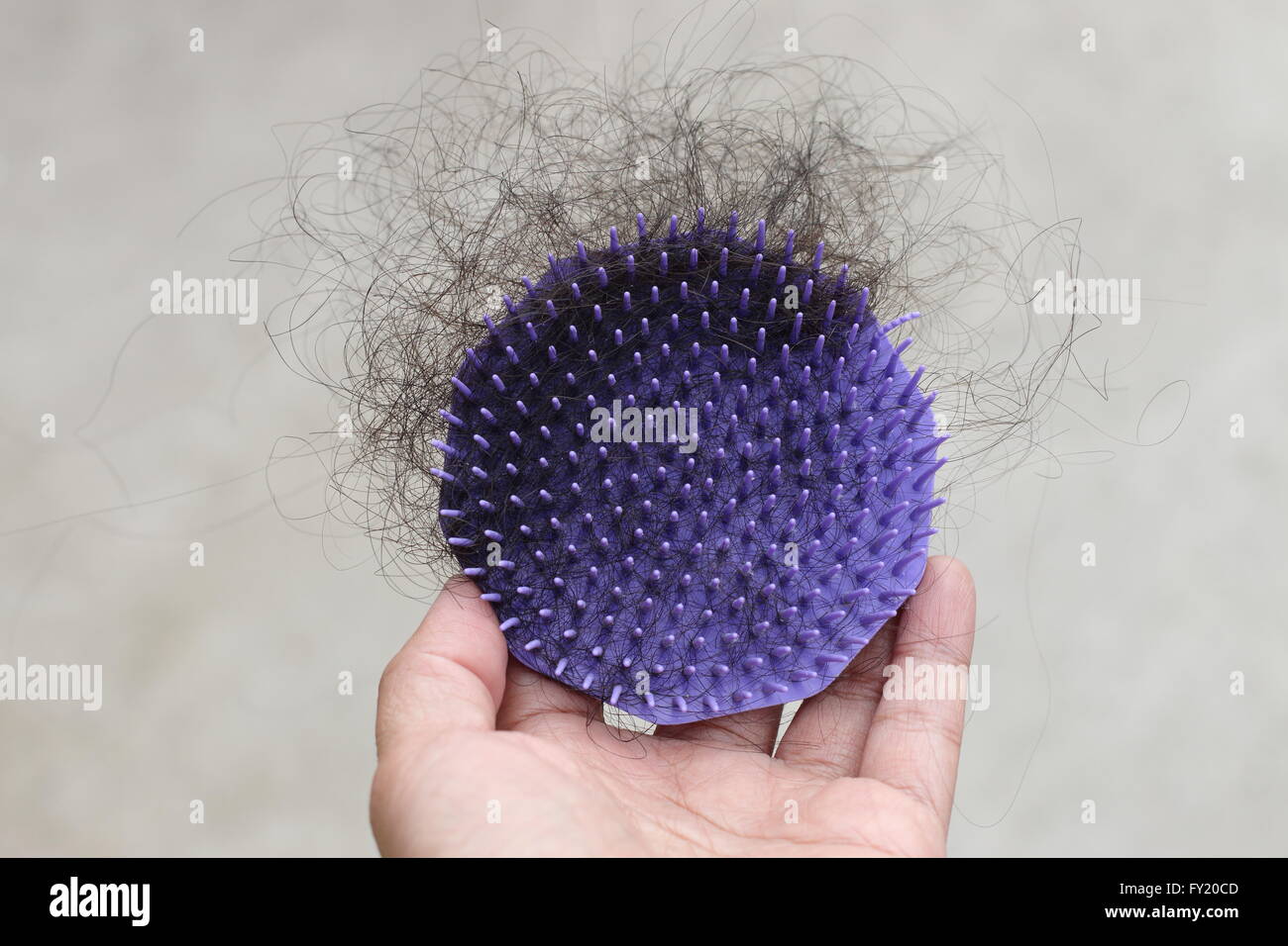 Hair problem, loss hair on the comb - close up Stock Photo