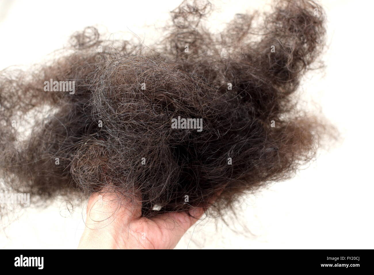 Holding loss hair in hand Stock Photo