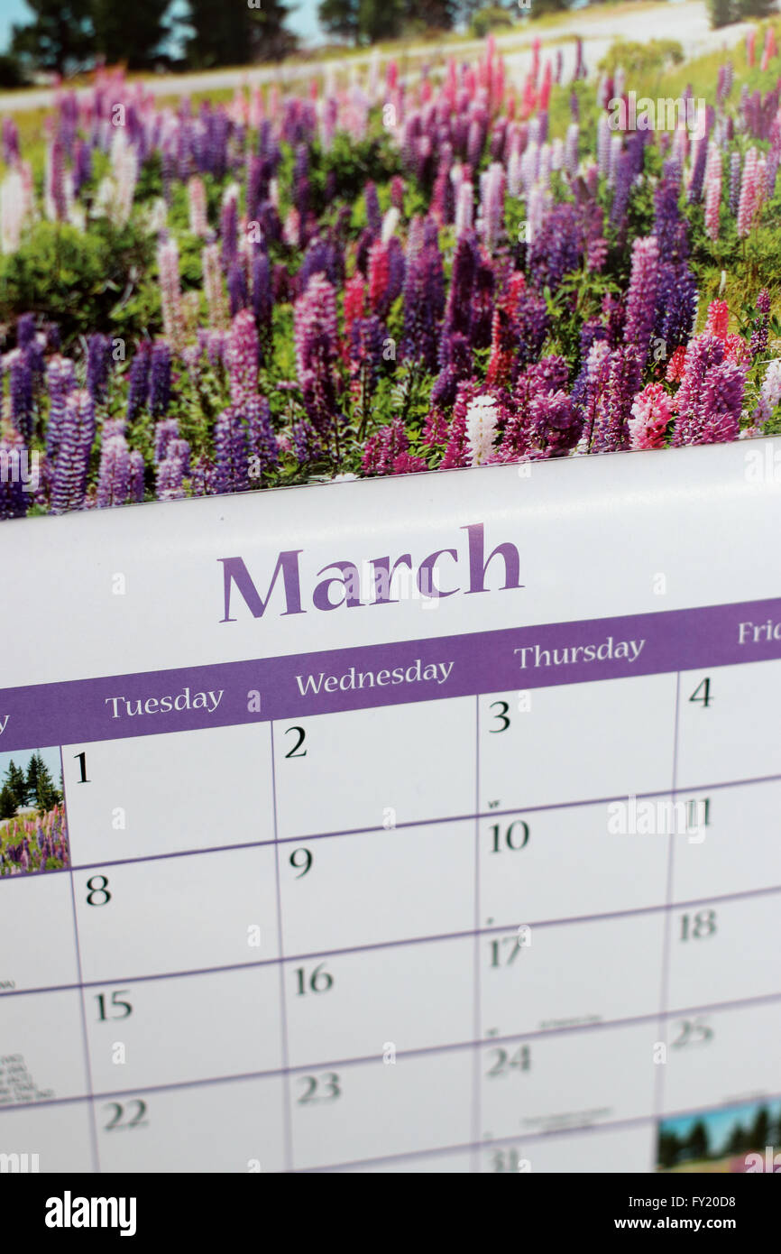 March calendar close up Stock Photo