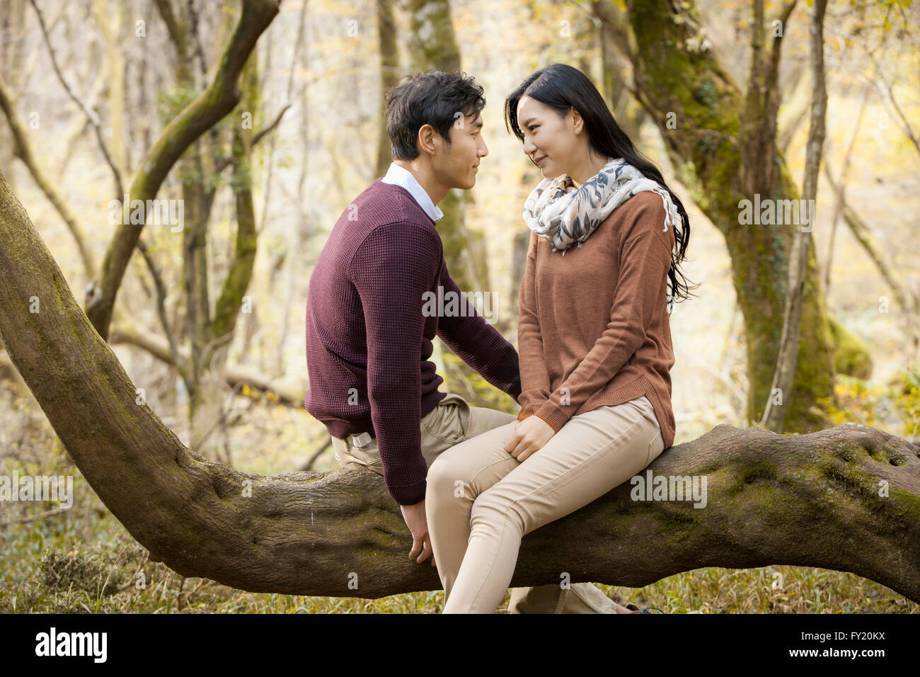 Couple taking a rest on a branch at the forest in fall Stock Photo