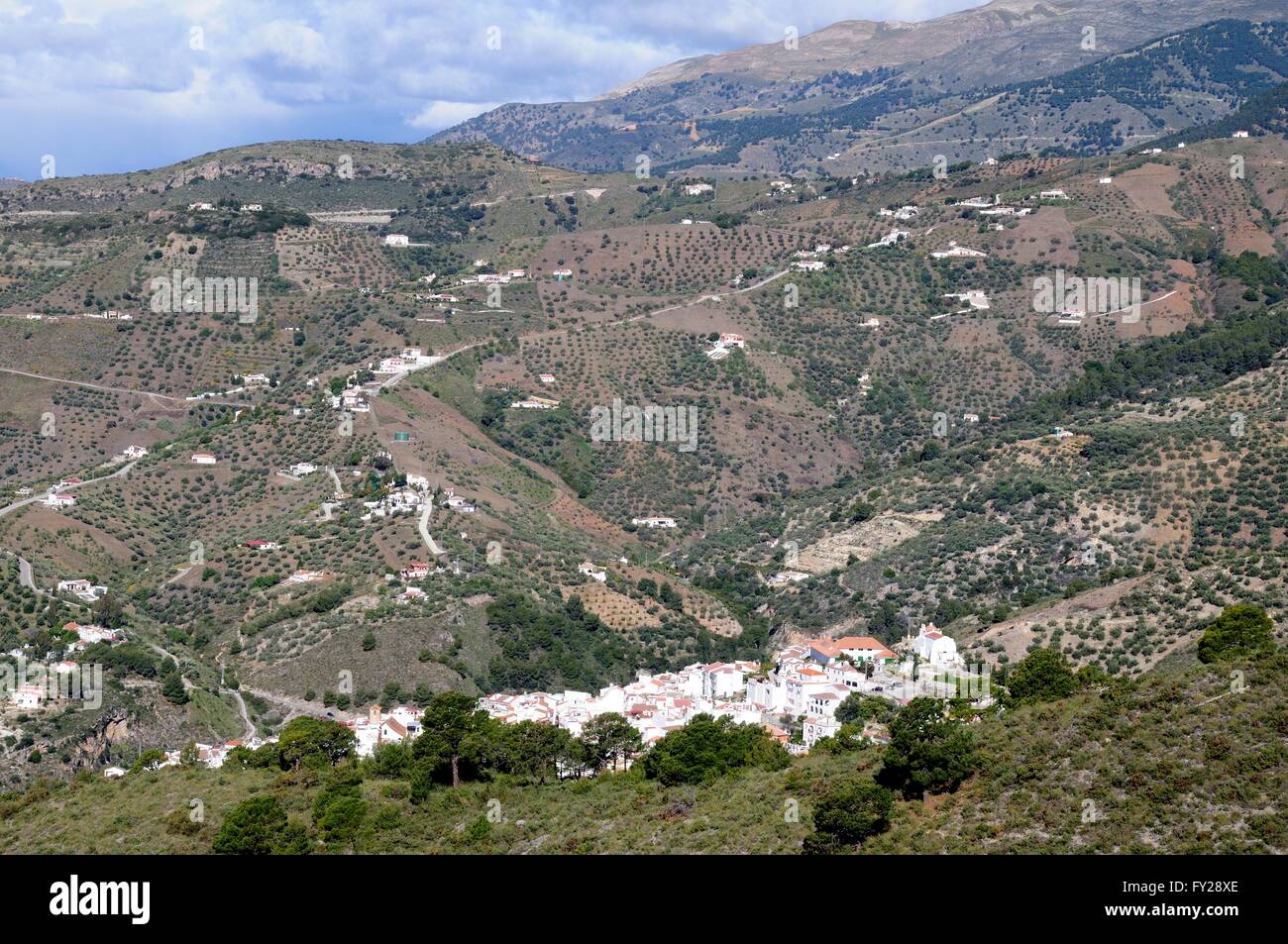 Foto de Las Parras en Canillas de Albaida, Málaga