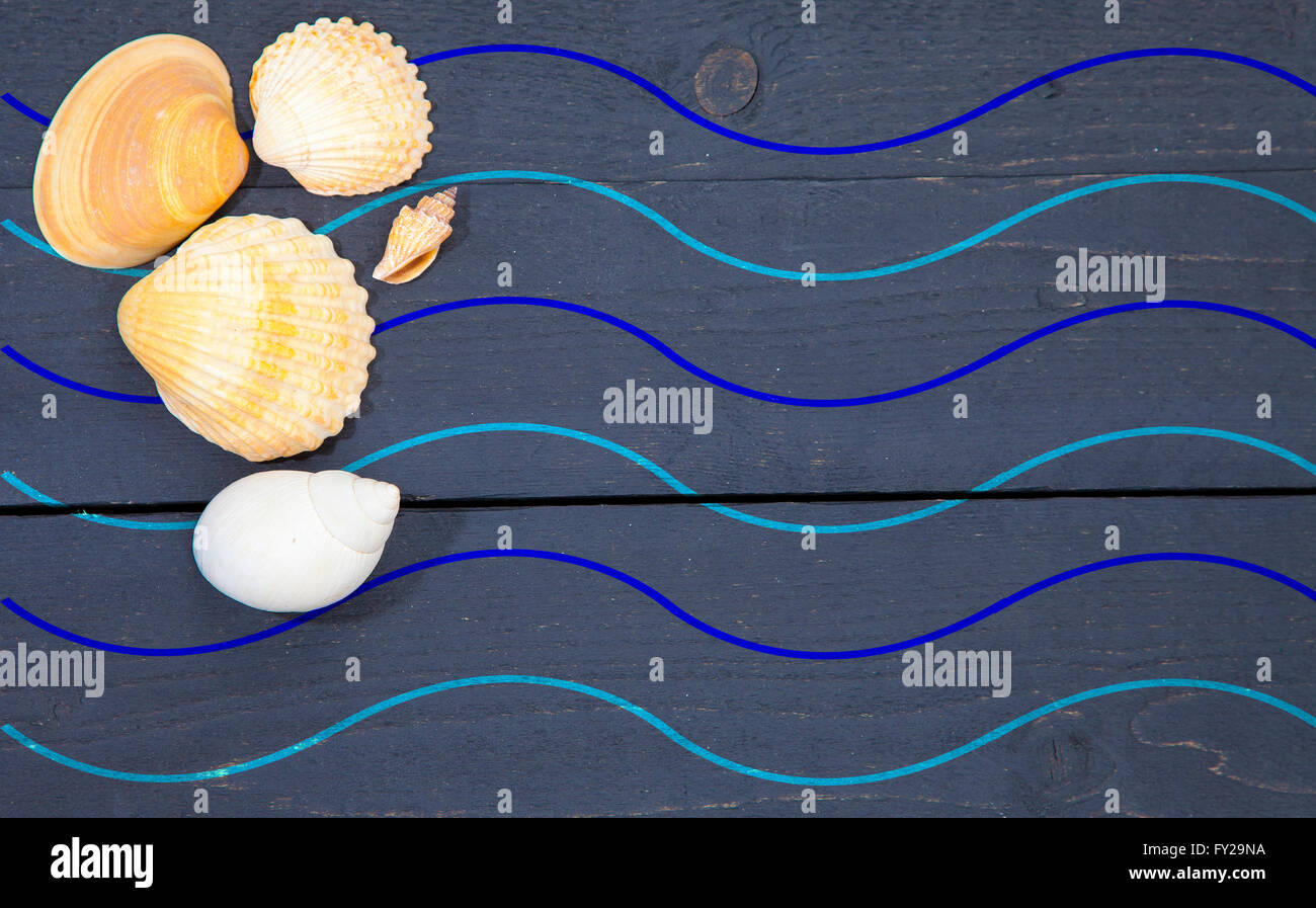 Several sea shells with blue sea waves on dark black wooden background Stock Photo