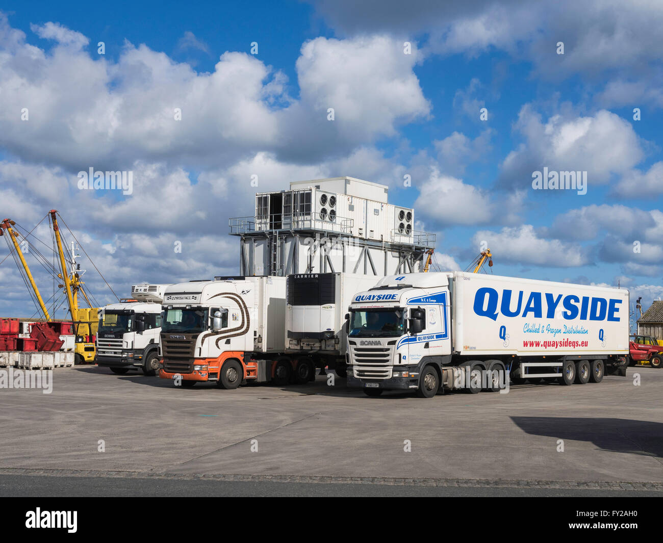 Row of fish and seafood distribution lorries parked at Newlyn harbour