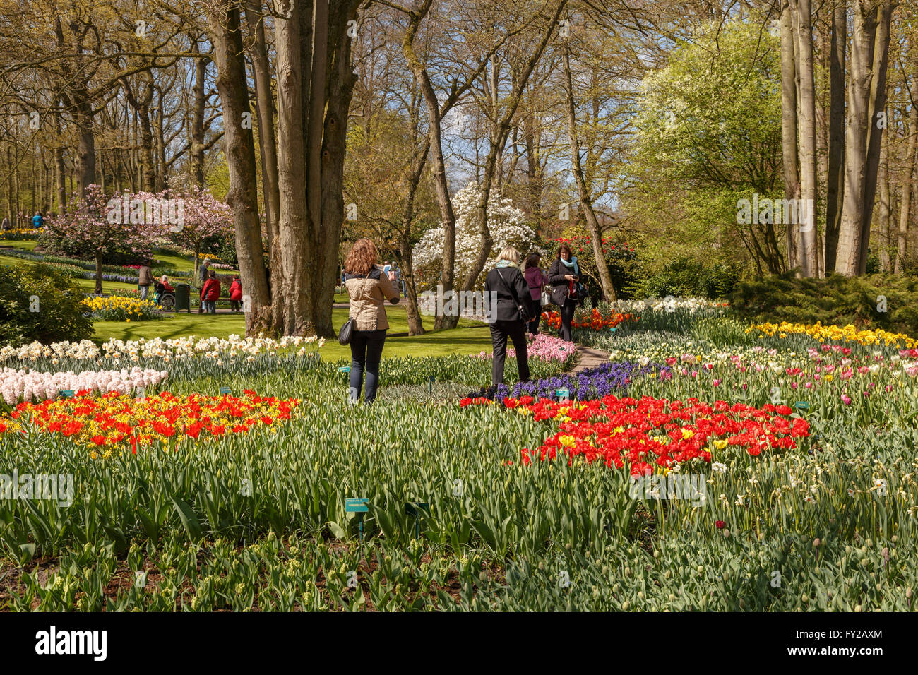Tourists enjoying the spring mood at the famous Keukenhof, one of the world's largest flower gardens, Lisse, South Holland. Stock Photo