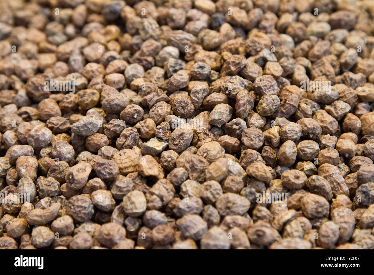 Tiger nuts basic ingredients for local Horchata drink Valencia Spain Stock Photo