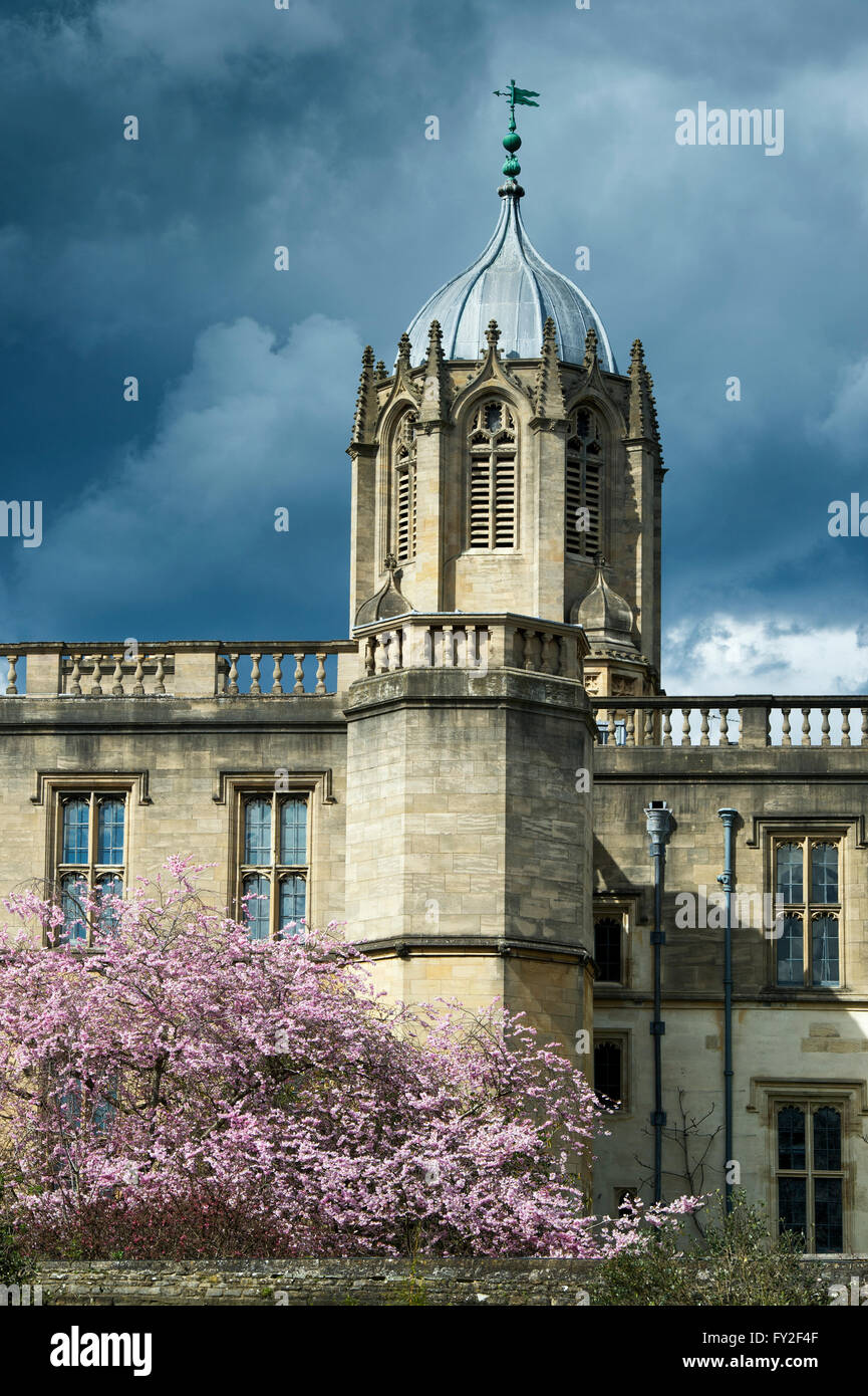 Tom Tower, cherry tree blossom and stormy skies. Christ Church College, Oxford, UK Stock Photo