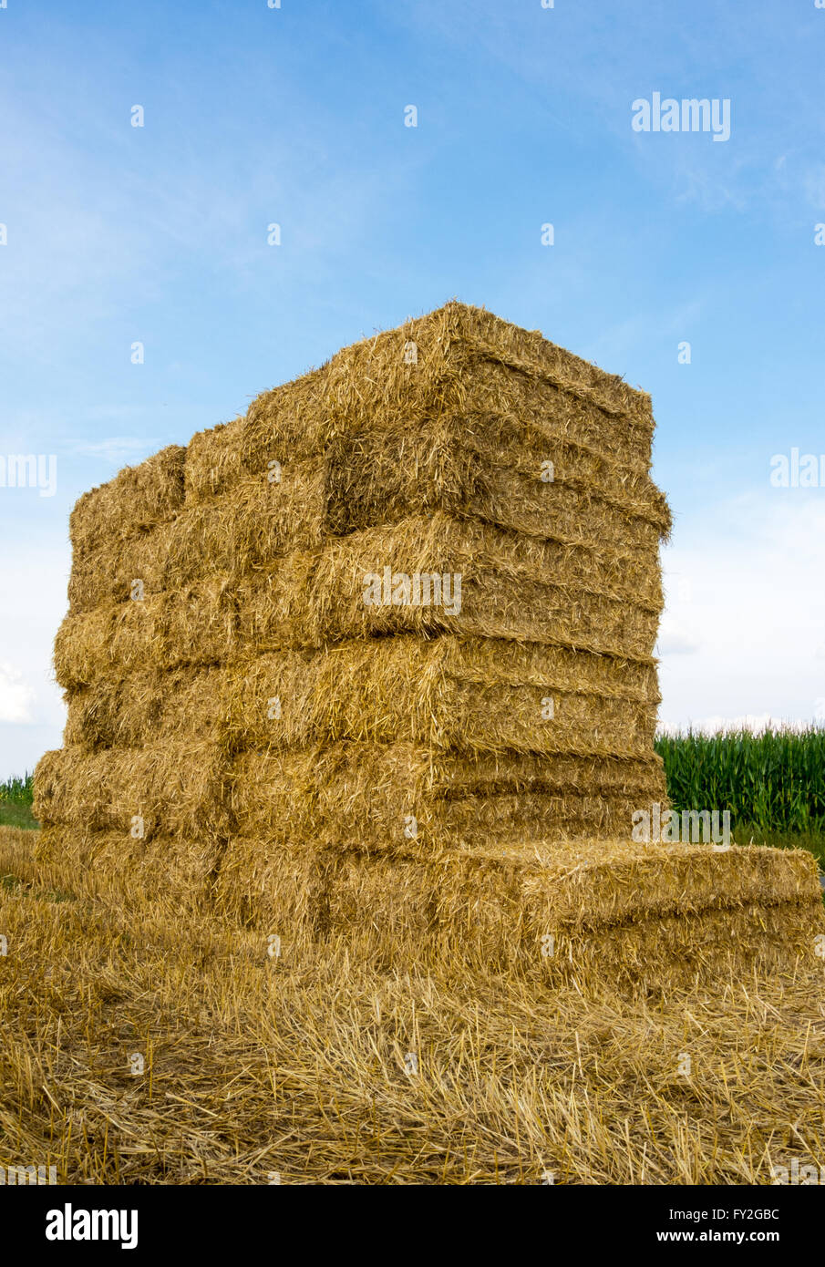 Stack of straw bales on a stubble field Stock Photo - Alamy
