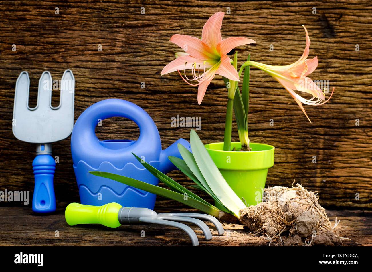 Plant growing tools hi-res stock photography and images - Alamy