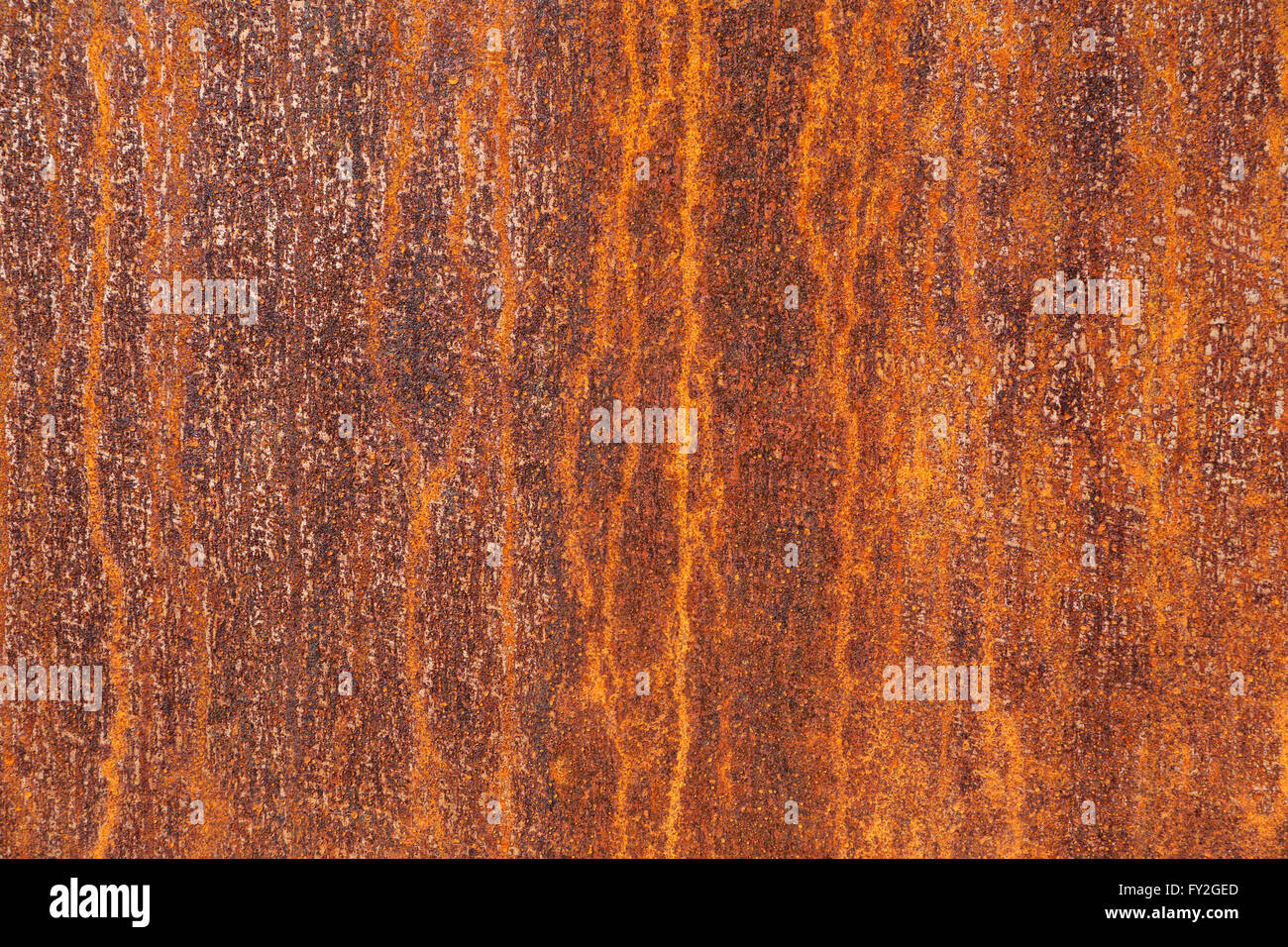 https://c8.alamy.com/comp/FY2GED/texture-of-a-corroded-metal-plate-FY2GED.jpg