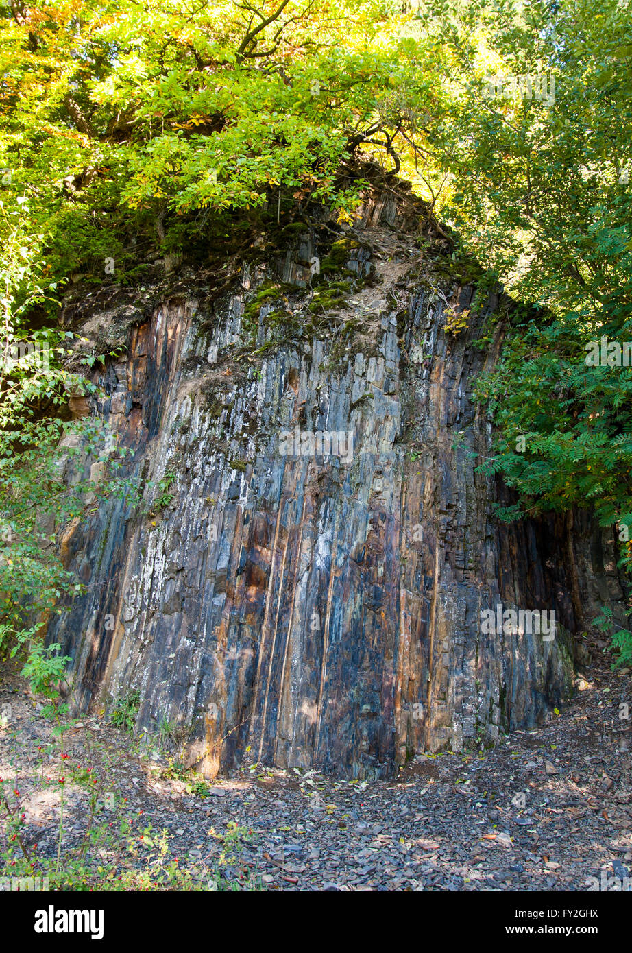 Cliff in the quarry at Bromberg, Medebach, Sauerland Stock Photo
