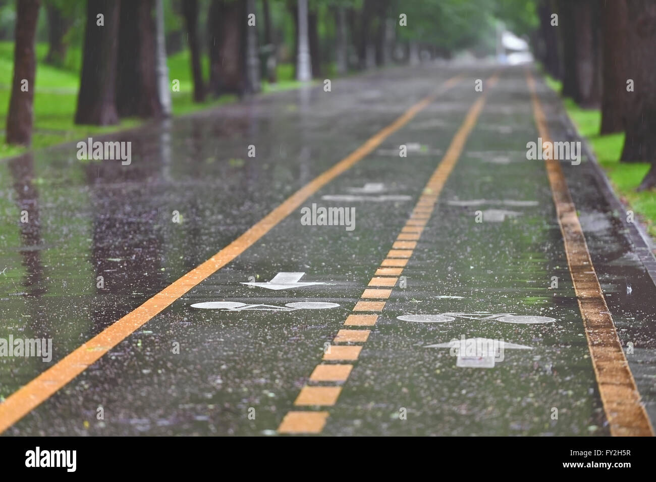 Rainfall on bicycle lanes in a park in springtime Stock Photo