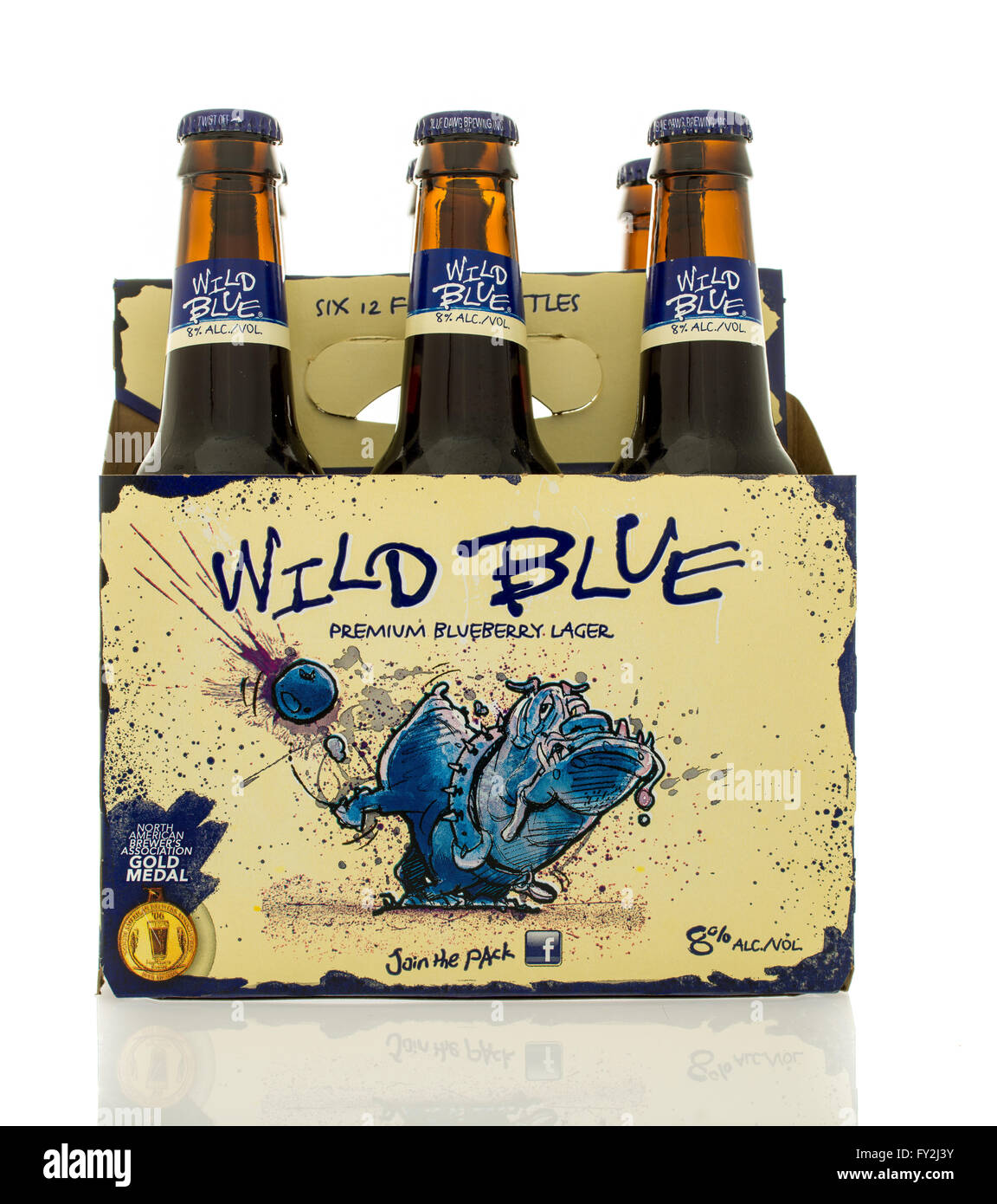 Winneconne, WI - 2 March 2016:  A six pack of Wild Blue lager in bluebery flavor. Stock Photo