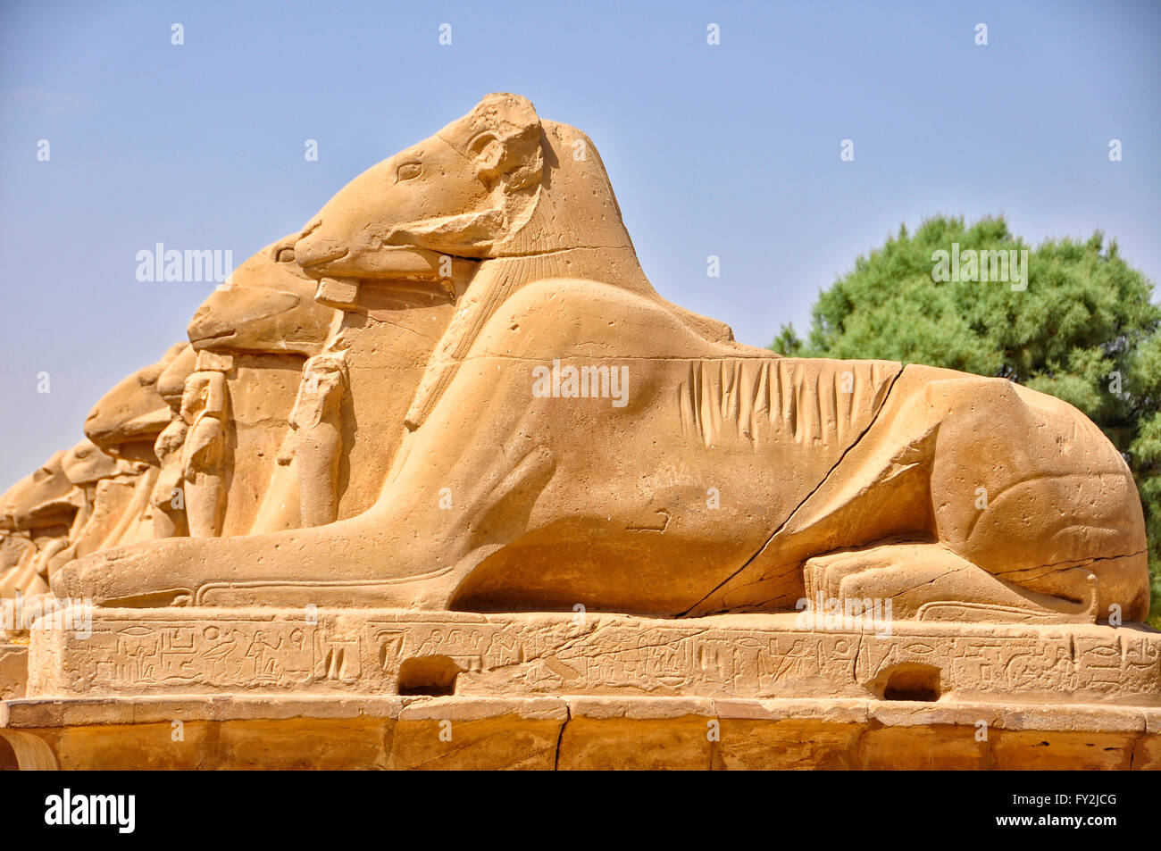 Lions in ancient egypt hires stock photography and images Alamy