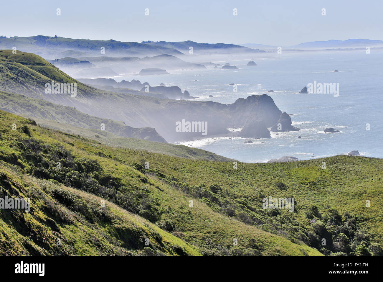 Bodega bay coast hires stock photography and images Alamy
