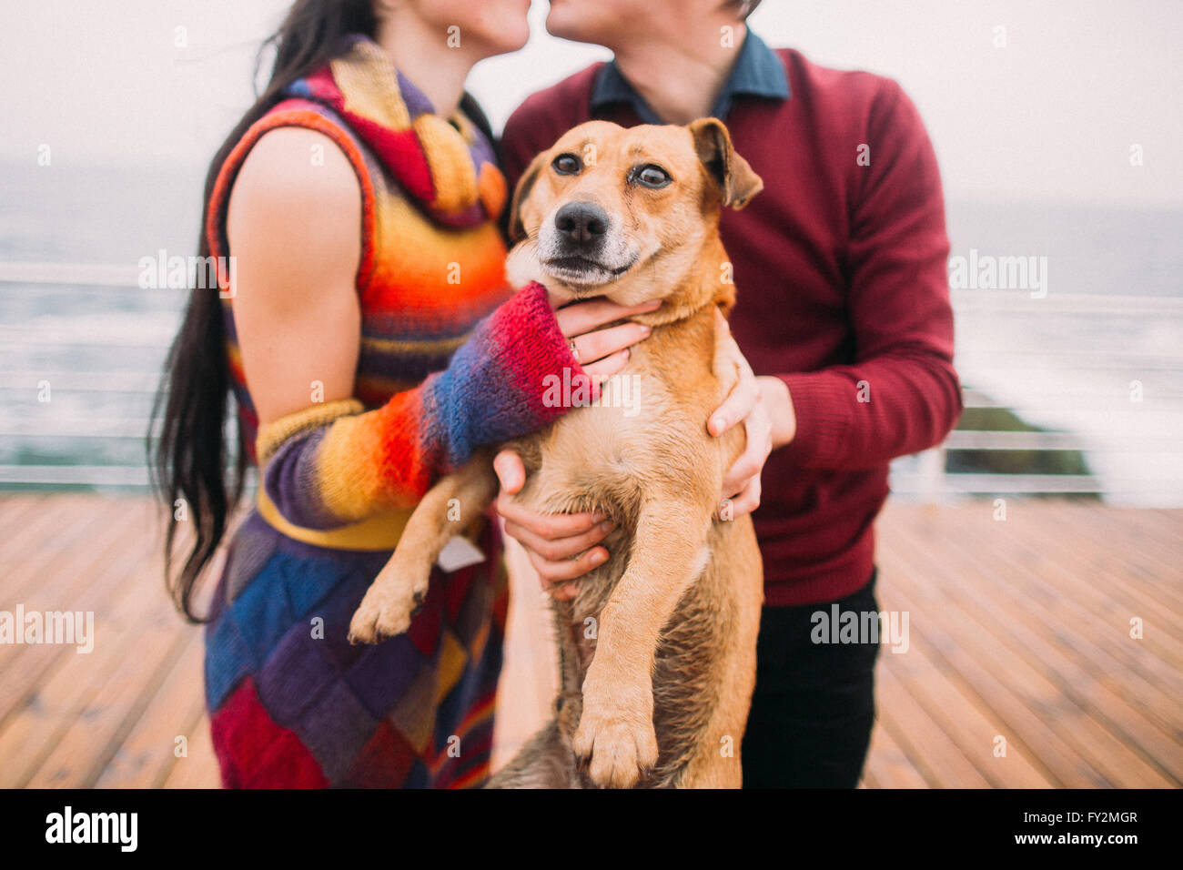 Bright young happy couple kissing each other and playing with dog on ...